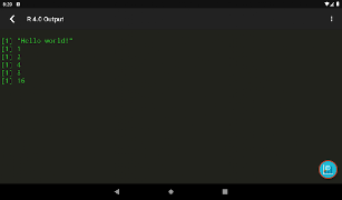 7 Schermata R Programming Compiler