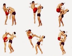 Best Kickboxing Technique screenshot 2