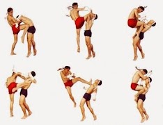 Best Kickboxing Technique screenshot 2