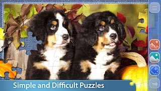 Jigsaw Puzzles: Puzzle Club imagem de tela 4