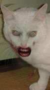 ZombieBooth स्क्रीनशॉट 6