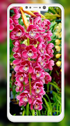 Orchid Wallpaper ภาพหน้าจอ 3