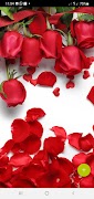 10000 Flowers Wallpapers poster