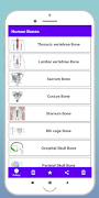 Human Bones الملصق