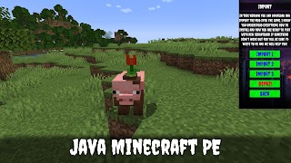 Java Textures Mod Minecraft PE تصوير الشاشة 5