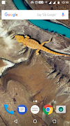 برنامه‌نما Live Lizard On Screen عکس از صفحه