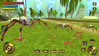 Wild Spider Tarantula Insect スクリーンショット 2