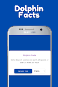 Dolphin App imagem de tela 1