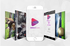 Maule Click スクリーンショット 1