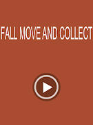 Fall Move And Collect Ekran Görüntüsü 3