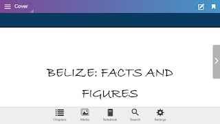 Belize Workbook 海报