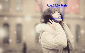 1 Schermata Face Detection and Recognition