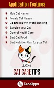 Conseils de soin de chat Affiche