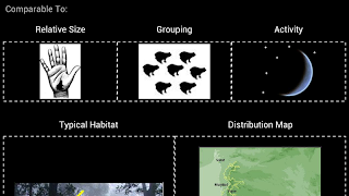 برنامه‌نما Frog Find عکس از صفحه