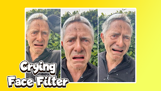 Camera Crying Face Filter Tips plakat