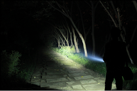 Torch Light New 2020 - Brighte ポスター