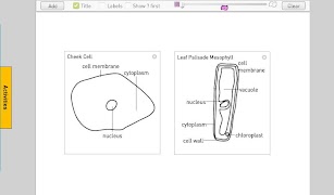 برنامه‌نما Cells عکس از صفحه