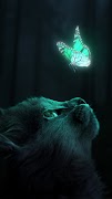 Cat Wallpapers HD 2023 Screenshot 7