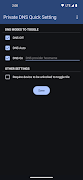 Private DNS Quick Setting screenshot 1
