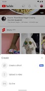 برنامه‌نما YouTube عکس از صفحه