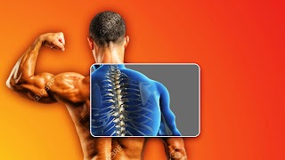 Body Scanner – Xray Simulator скриншот 4