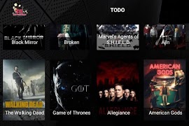 STE captura de pantalla 5