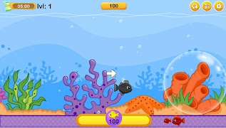 پوستر Fish Bubbles