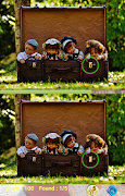 Find Differences Level 24 screenshot 1