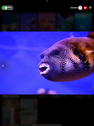 REPLAAAY captura de pantalla 7