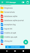 FTP Manager Affiche