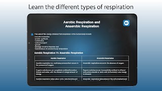 Cellular Respiration Process screenshot 7