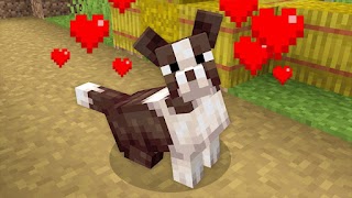 Dog Mod For Minecraft ภาพหน้าจอ 6