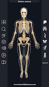 Skeleton Anatomy Pro. স্ক্রিনশট 1