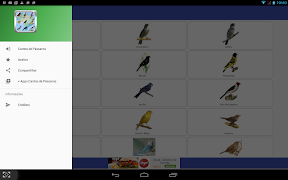 Canto de Pássaros Brasileiros capture d'écran 6