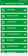 Learn Wing Chun Techniques poster
