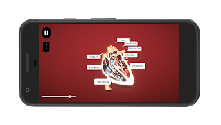 Heart Simulator تصوير الشاشة 1