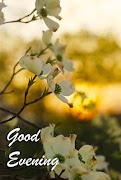 Good Evening Images screenshot 2