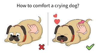 برنامه‌نما Brain Out 2 عکس از صفحه