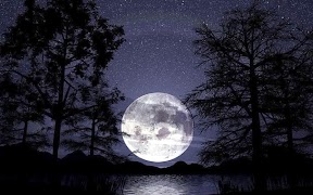 Lua Papel parede animado imagem de tela 5