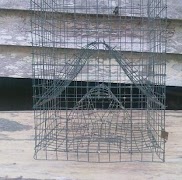 برنامه‌نما Best Fish Trap عکس از صفحه