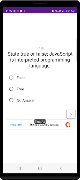 Programming Quiz screenshot 1