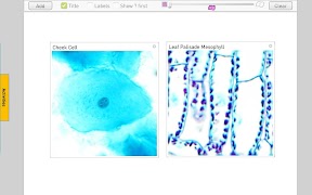 برنامه‌نما Cells عکس از صفحه