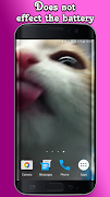 Cat Lick Screen Live Wallpaper ภาพหน้าจอ 3