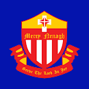 St. Mary's Nenagh APK