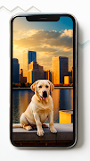 Labrador Retriever Wallpapers Screenshot 2