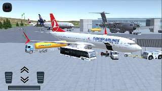 Flight 737 - MAXIMUM captura de pantalla 1