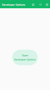 Developer Options poster