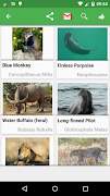 برنامه‌نما Quiz : Animaux عکس از صفحه