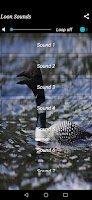 Loon Sounds screenshot 1
