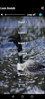 Loon Sounds imagem de tela 1